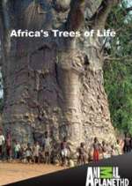 Watch Africa's Trees of Life Movies123