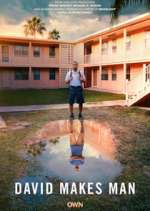 Watch David Makes Man Movies123