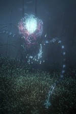 Watch Into the Universe with Stephen Hawking Movies123