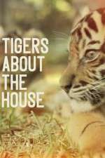 Watch Tigers About the House Movies123
