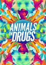 Watch Animals on Drugs Movies123