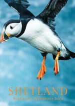 Watch Shetland: Scotland's Wondrous Isles Movies123