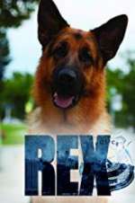 Watch Hudson & Rex Movies123
