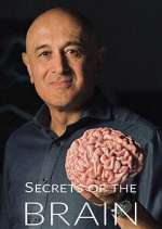 Watch Secrets of the Brain Movies123