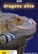 Watch Dragons Alive Movies123