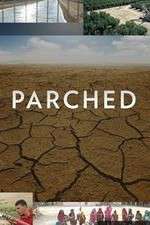 Watch Parched Movies123