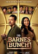 Watch The Barnes Bunch Movies123