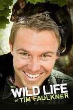 Watch The Wild Life of Tim Faulkner Movies123