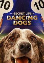 Watch The Secret Life of Dancing Dogs Movies123