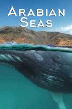 Watch Arabian Seas Movies123