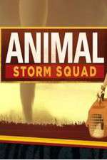 Watch Animal Storm Squad Movies123