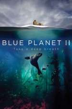 Watch Blue Planet II Movies123