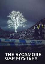 Watch The Sycamore Gap Tree Mystery Movies123