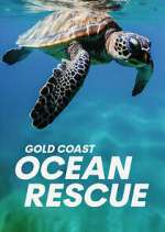 Watch Gold Coast Ocean Rescue Movies123