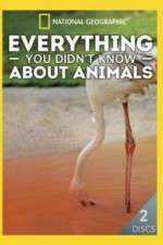 Watch Everything You Didnt Know About Animals Movies123