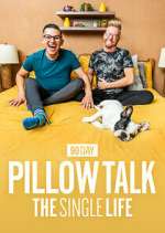 Watch 90 Day Pillow Talk: The Single Life Movies123