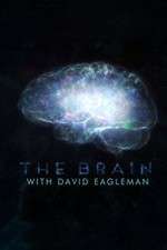 Watch The Brain with Dr David Eagleman Movies123