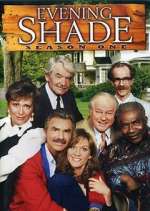 Watch Evening Shade Movies123