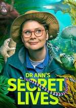 Watch Dr Ann\'s Secret Lives Movies123
